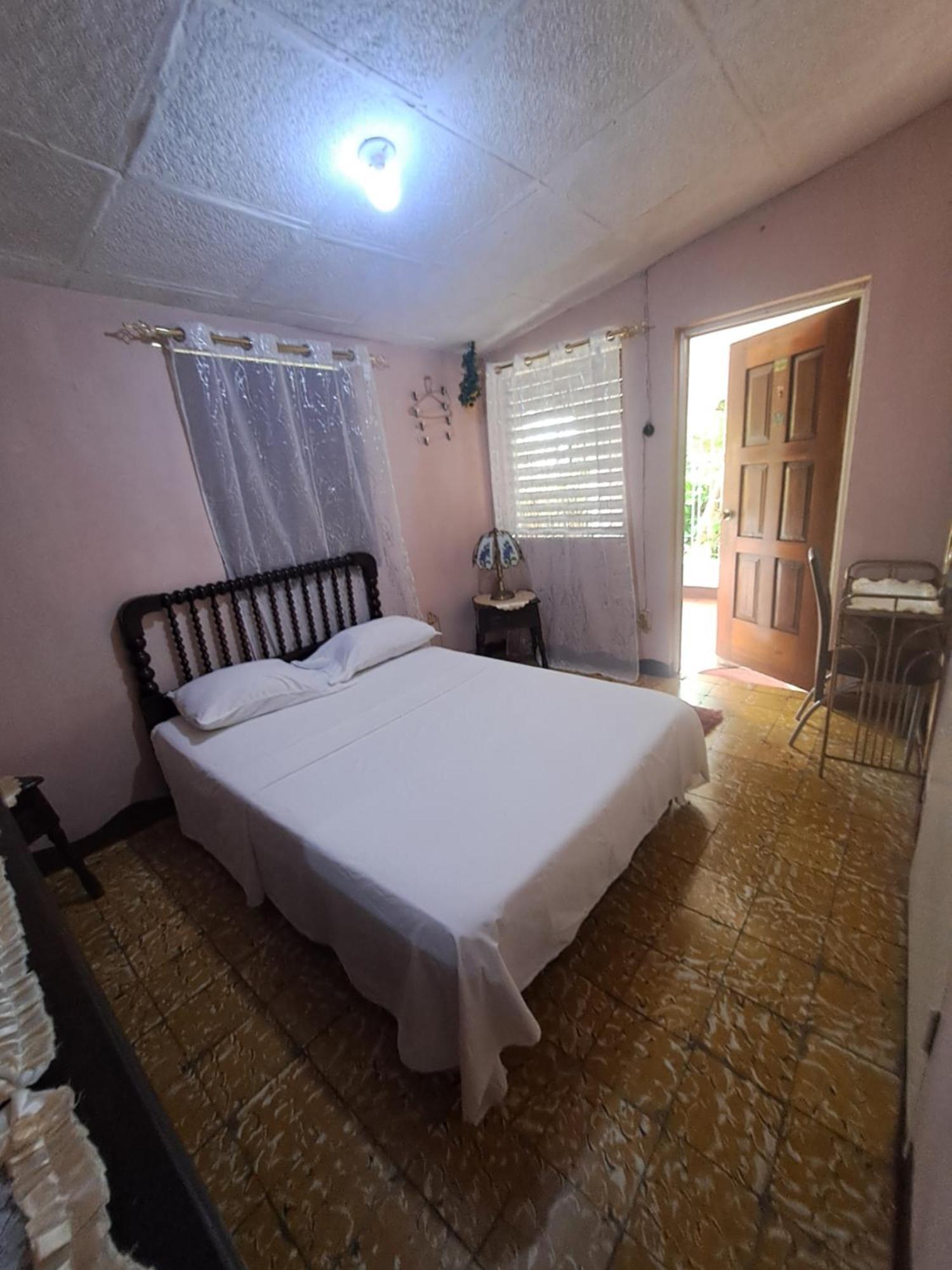Kingston Airport Bed And Breakfast 外观 照片